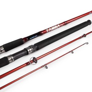 1-capa2310051409321696525772